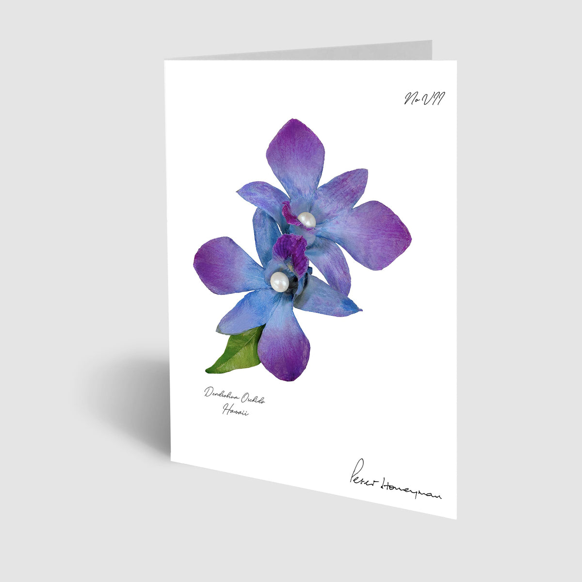 Blue Orchid Notecard