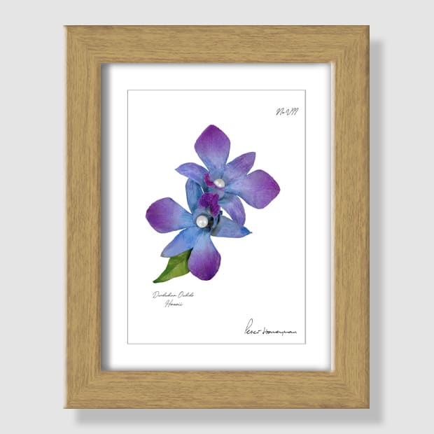 Blue Orchid Natural Wood Framed Print
