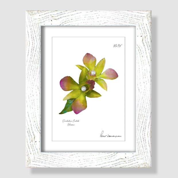 Green Orchid White Wood Framed Print