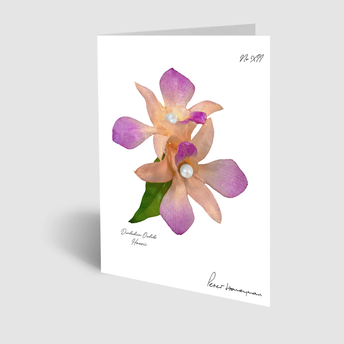 Peach Orchid Notecard