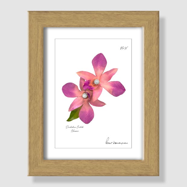 Pink Orchid Natural Wood Framed Print