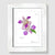 Lavender Orchid White Wood Framed Print