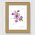 Lavender Orchid Natural Wood Framed Print