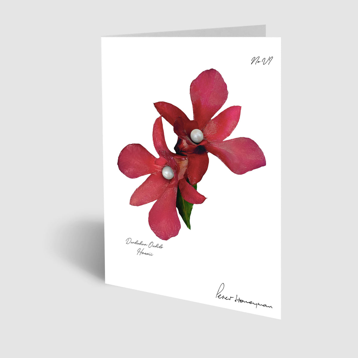 Red Orchid Notecard