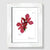Red Orchid White Wood Framed Print